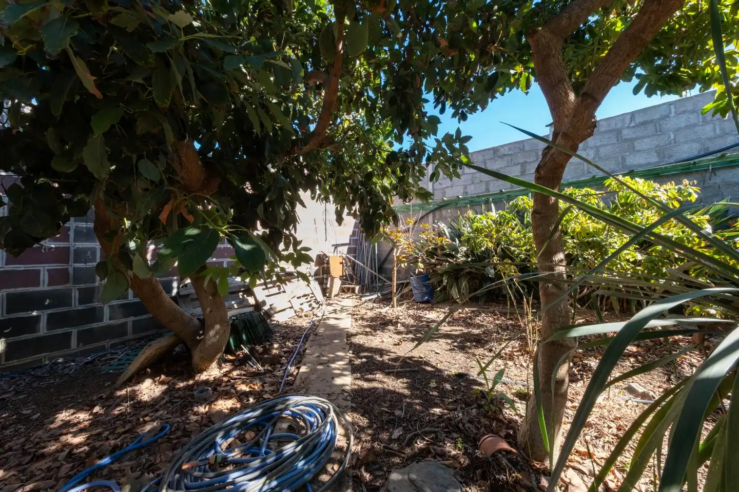 Garden of Country homes for sale in Gáldar