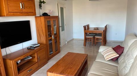 Foto 3 de Piso de alquiler en Avenida de la Manzanilla, El Pino - Bajo de Guía, Sanlúcar de Barrameda