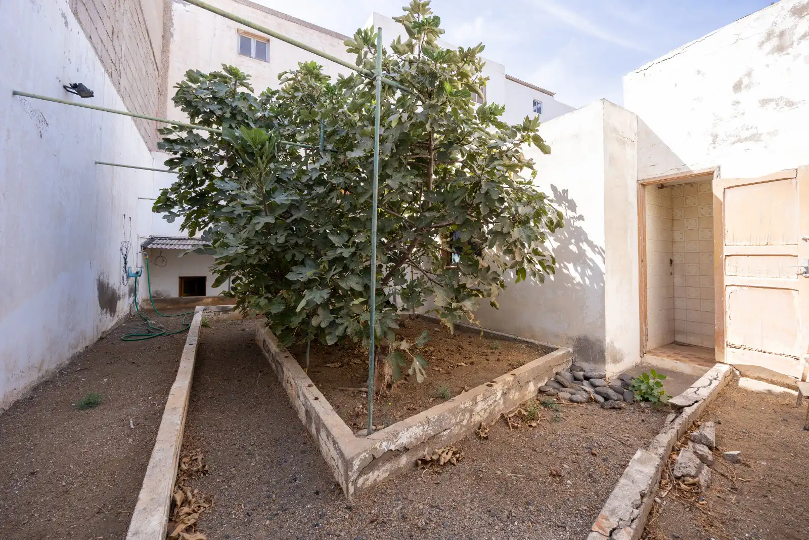 Jardín de Casa o chalet en venta en Carrizal