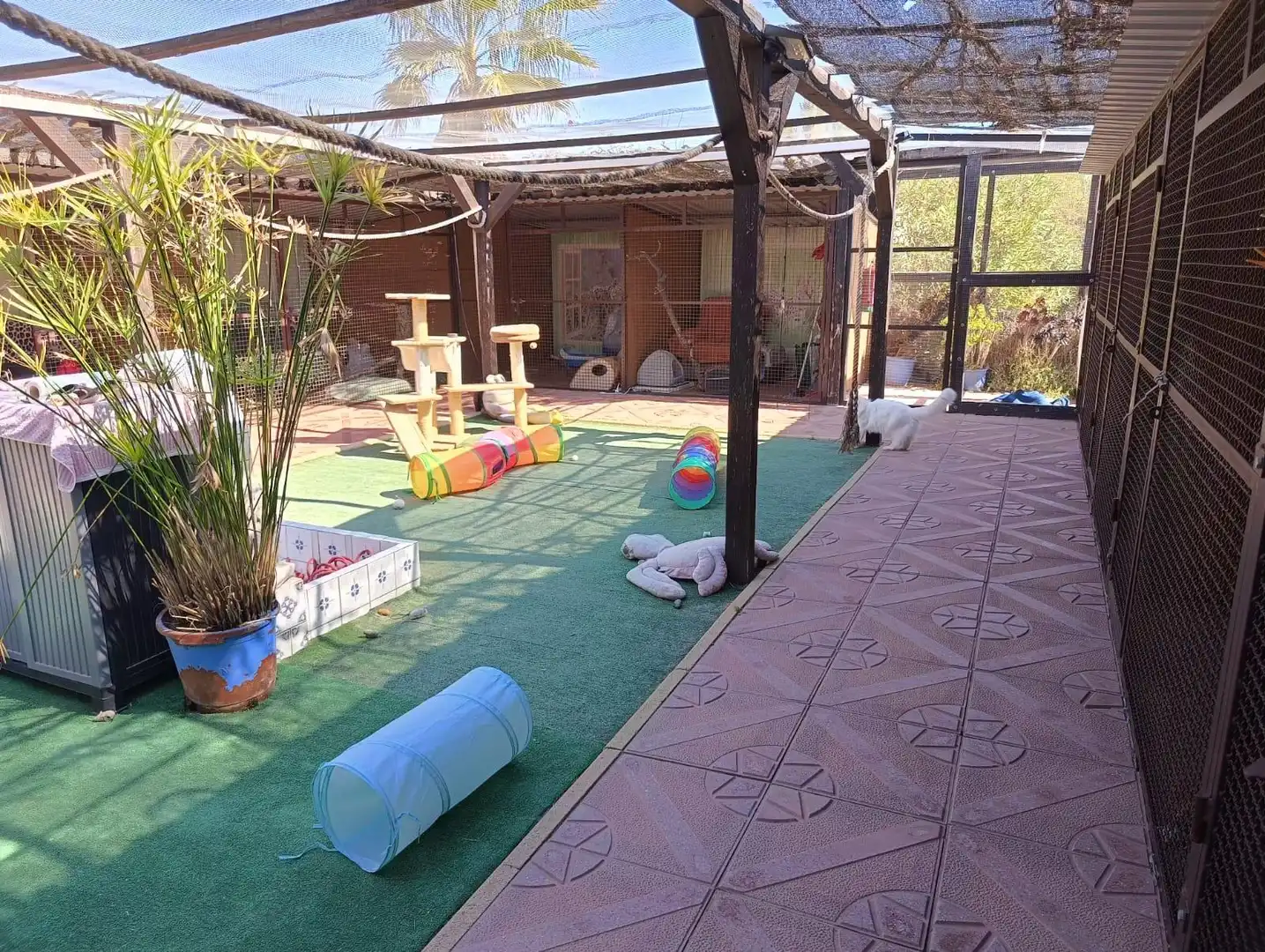 Jardí de Finca rústica en venda en Elche / Elx amb Aire condicionat, Calefacció i Jardí privat