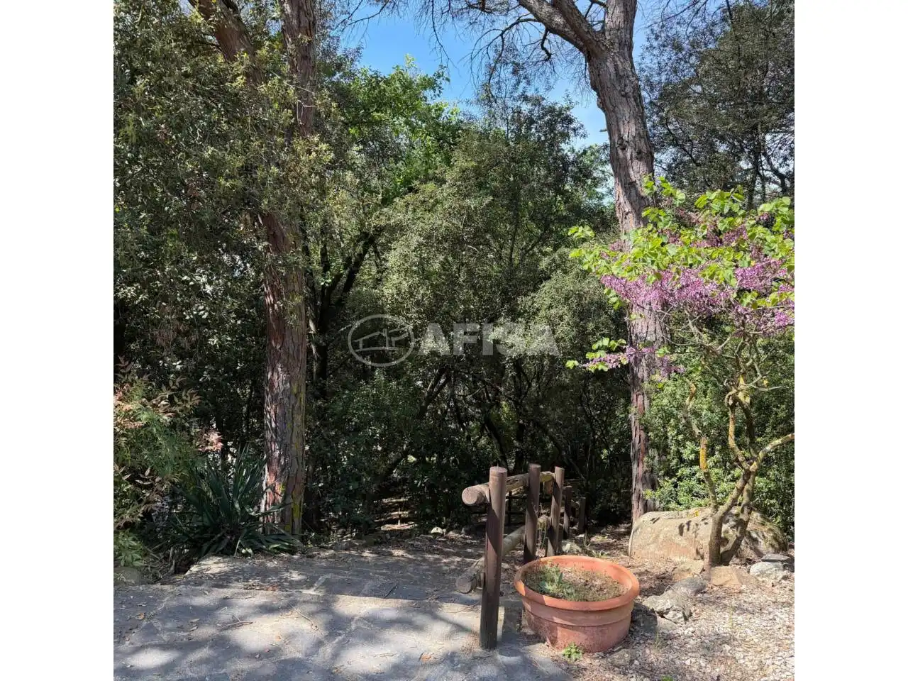 Jardín de Residencial en venta en Sant Pere de Vilamajor