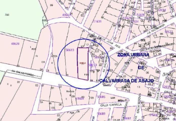 Exterior view of Building for sale in Calvarrasa de Abajo