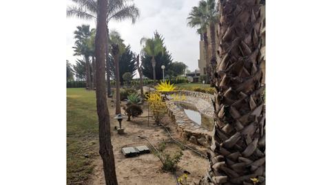 Foto 5 de Planta baixa en venda a Roda, San Javier