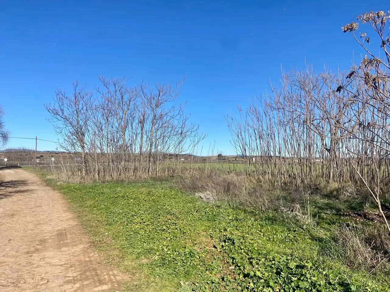 Residencial en venta en Miguelturra