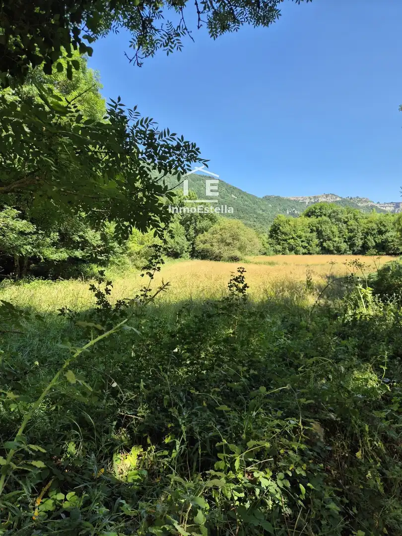 Land for sale in Améscoa Baja