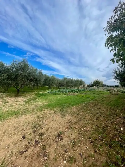 Finca rústica en venda en Sant Martí Sarroca amb Calefacció, Terrassa i Traster
