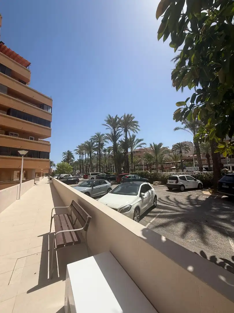 Exterior view of Study for sale in Elche / Elx  with Terrace, Furnished and TV