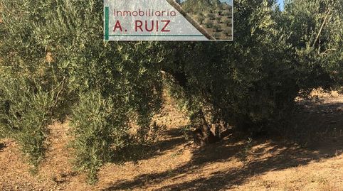 Imagen 2 del anuncio