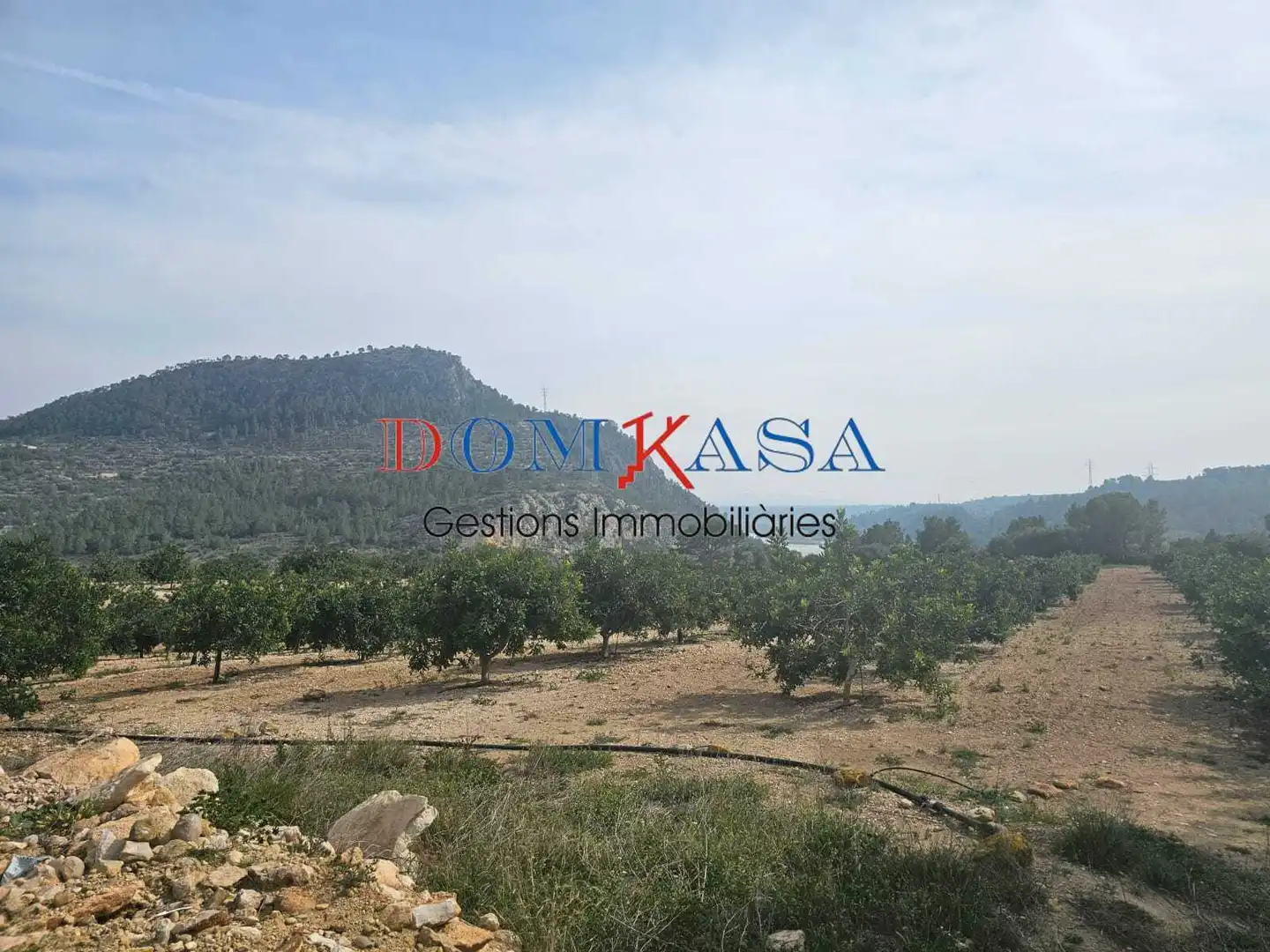 Industrial buildings for sale in Xerta