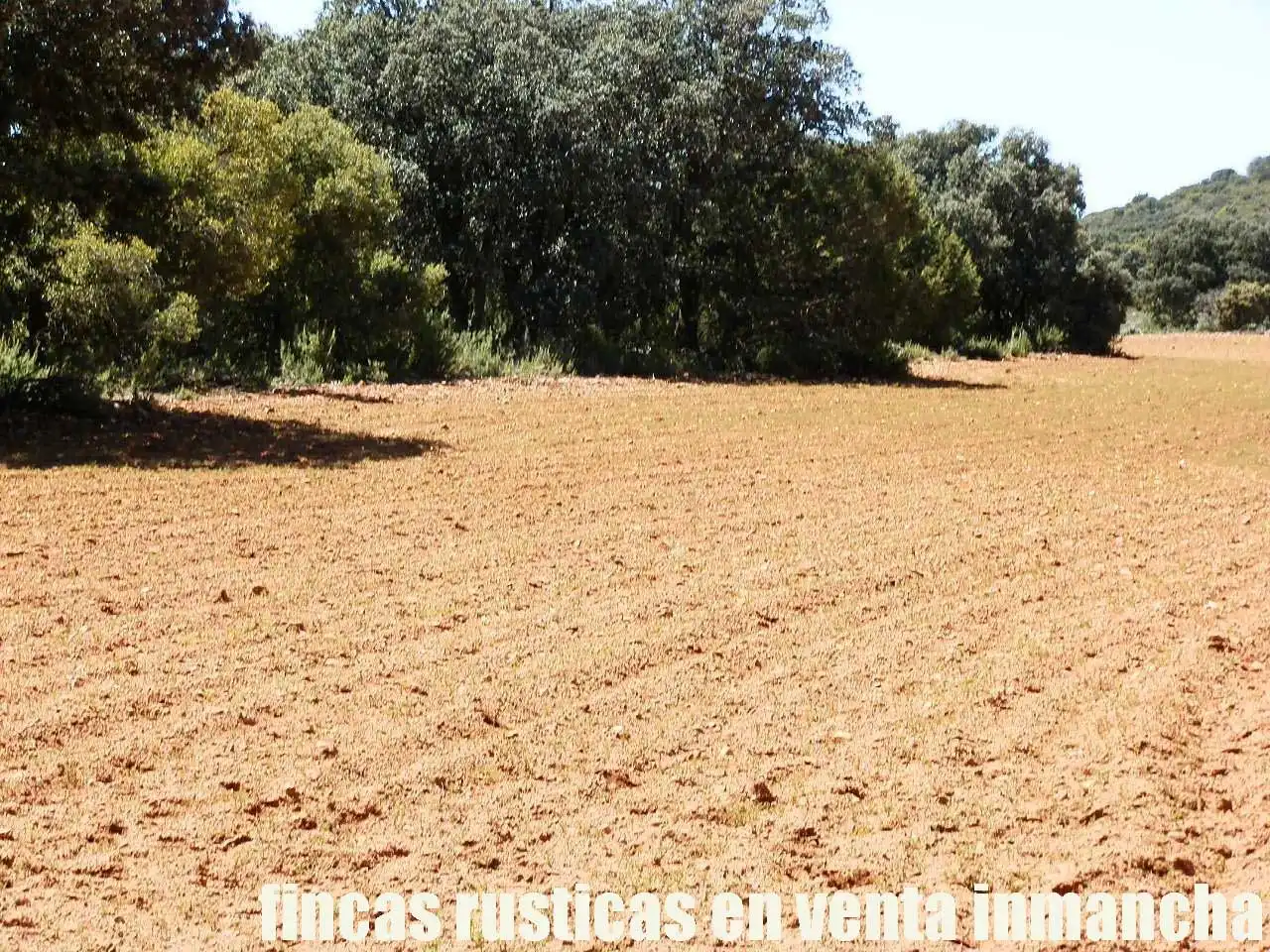 Lands and plots for sale in Ossa de Montiel, imagen 2