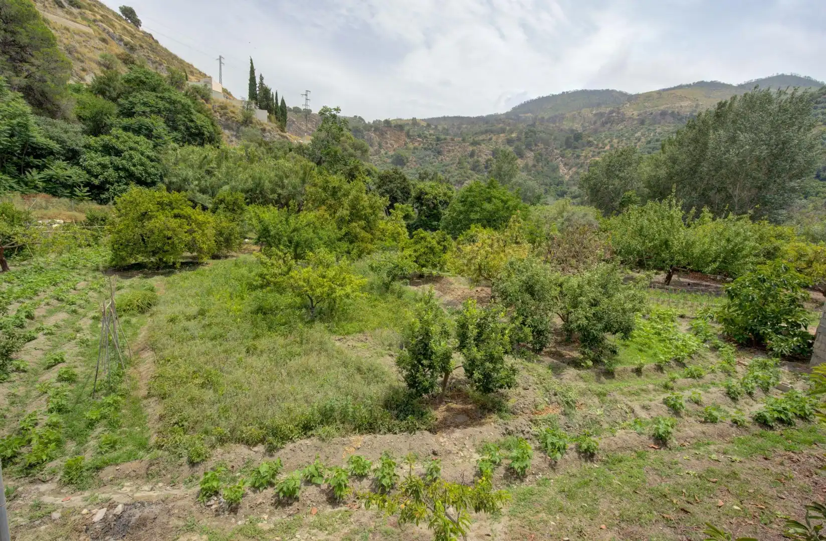 Terreno rustico in vendita a de Sierra Nevada Costa Tropical, imagen 7