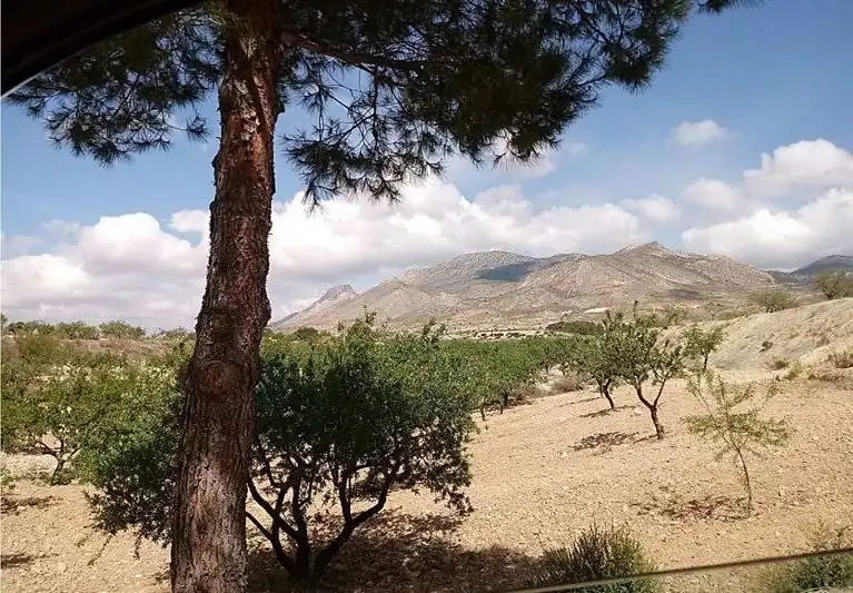 Casa rústica con jardín en venta en Pedanías Norte, imagen 30