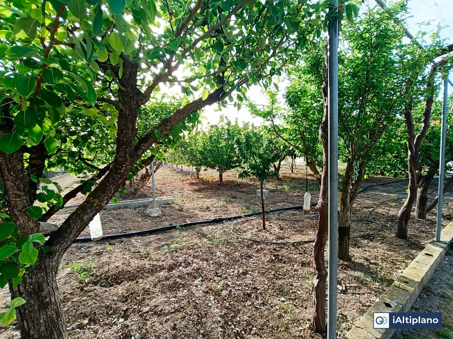 Casa o xalet en venda en Baza amb Jardí privat, Piscina i Moblat