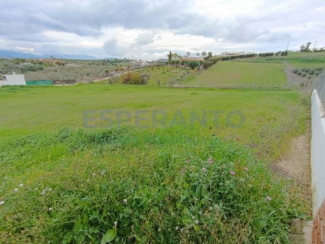 Terreno en Venta en Partida Quinto en Centro