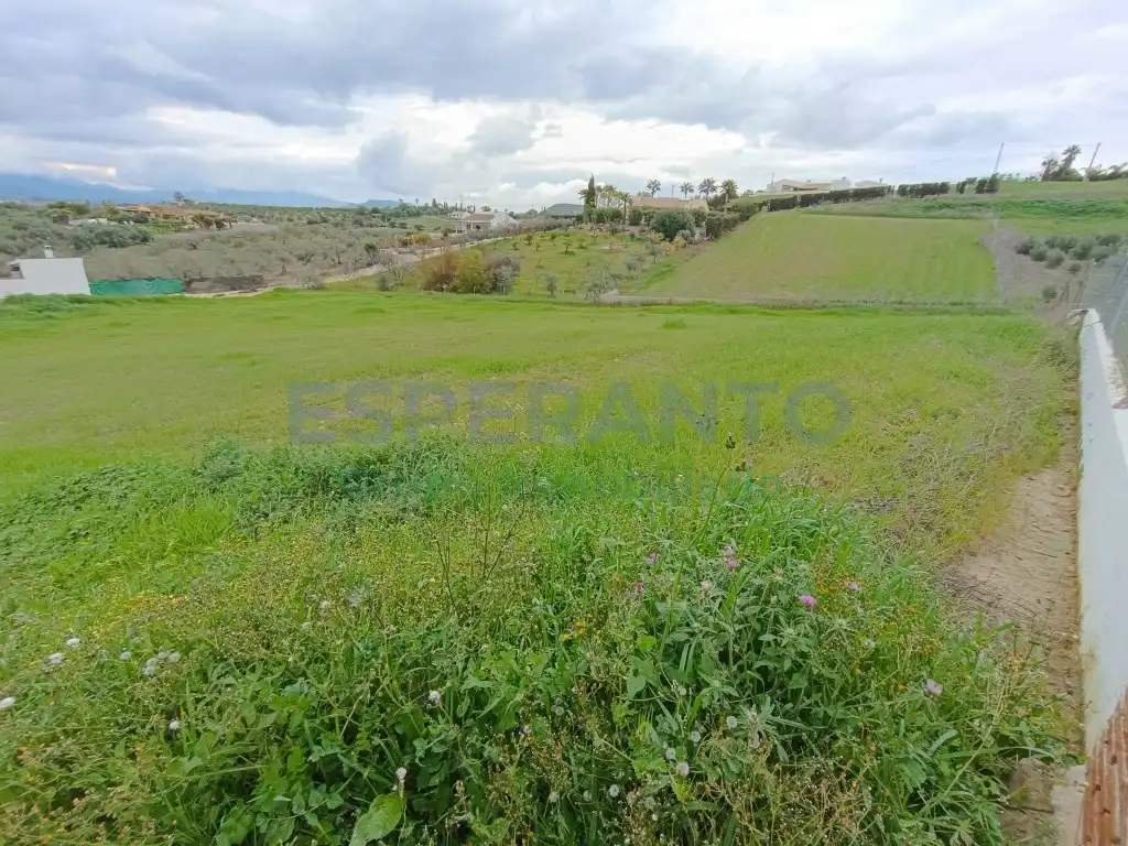 Terreni e lotti in vendita a Partida Quinto