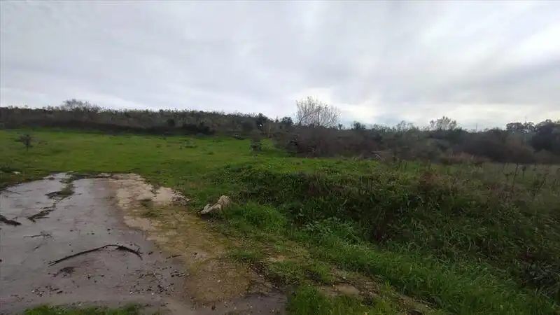 Terreni e lotti in vendita a PARAJE DEHESA DE LOS CABALLOS, imagen 6
