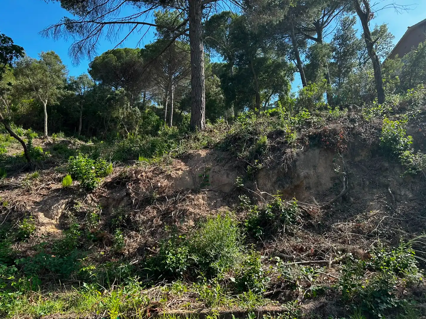 Wohnbaugrundstück zum Verkauf in Lloret Residencial - Montlloret, imagen 4
