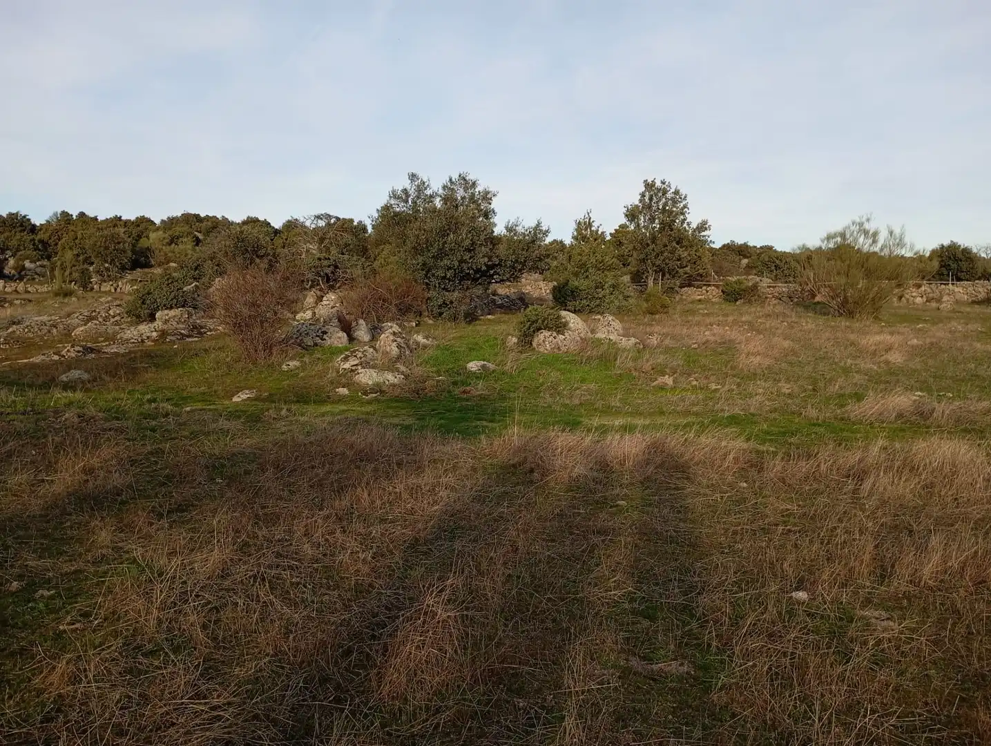Terreno rustico in vendita a Fresnedillas de la Oliva, imagen 5