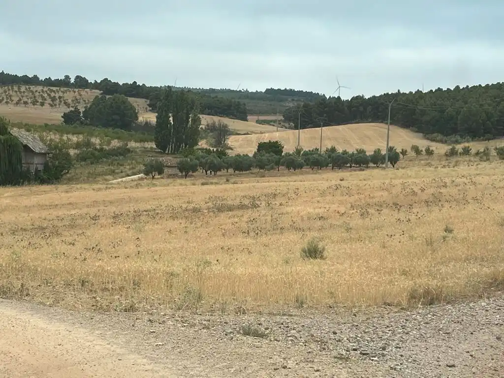 Grundstücke zum Verkauf in Peñas de San Pedro