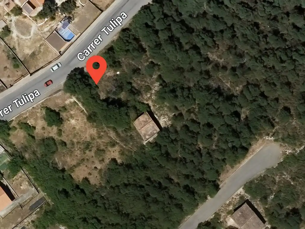 Residential land for sale in Calle Tulipa (Plana Torres), imagen 2