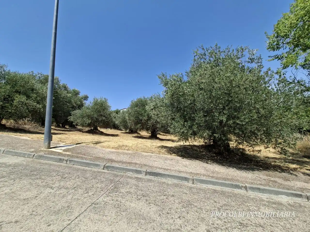 Lands and plots for sale in Calle Río Tajuña 1676, imagen 13