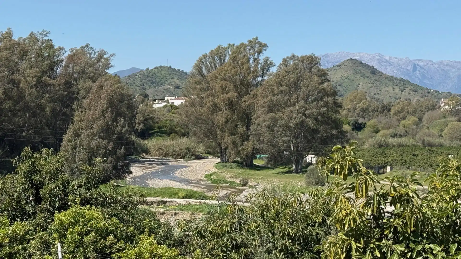 Casa rústica amb piscina en venda a Calle CORTIJO BENITEZ, imagen 32