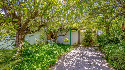 Foto 5 de Casa o chalet en venta en Carretera del Pico, 38, Valleseco, Las Palmas