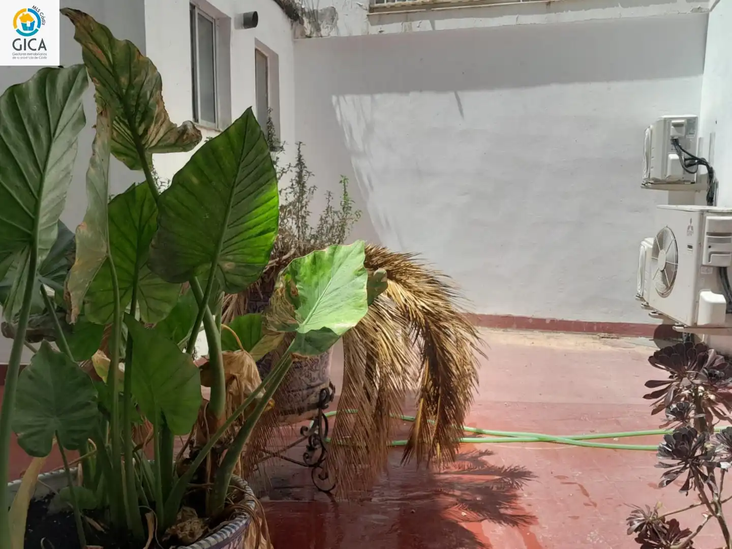 Jardí de Oficina de lloguer en Jerez de la Frontera amb Aire condicionat