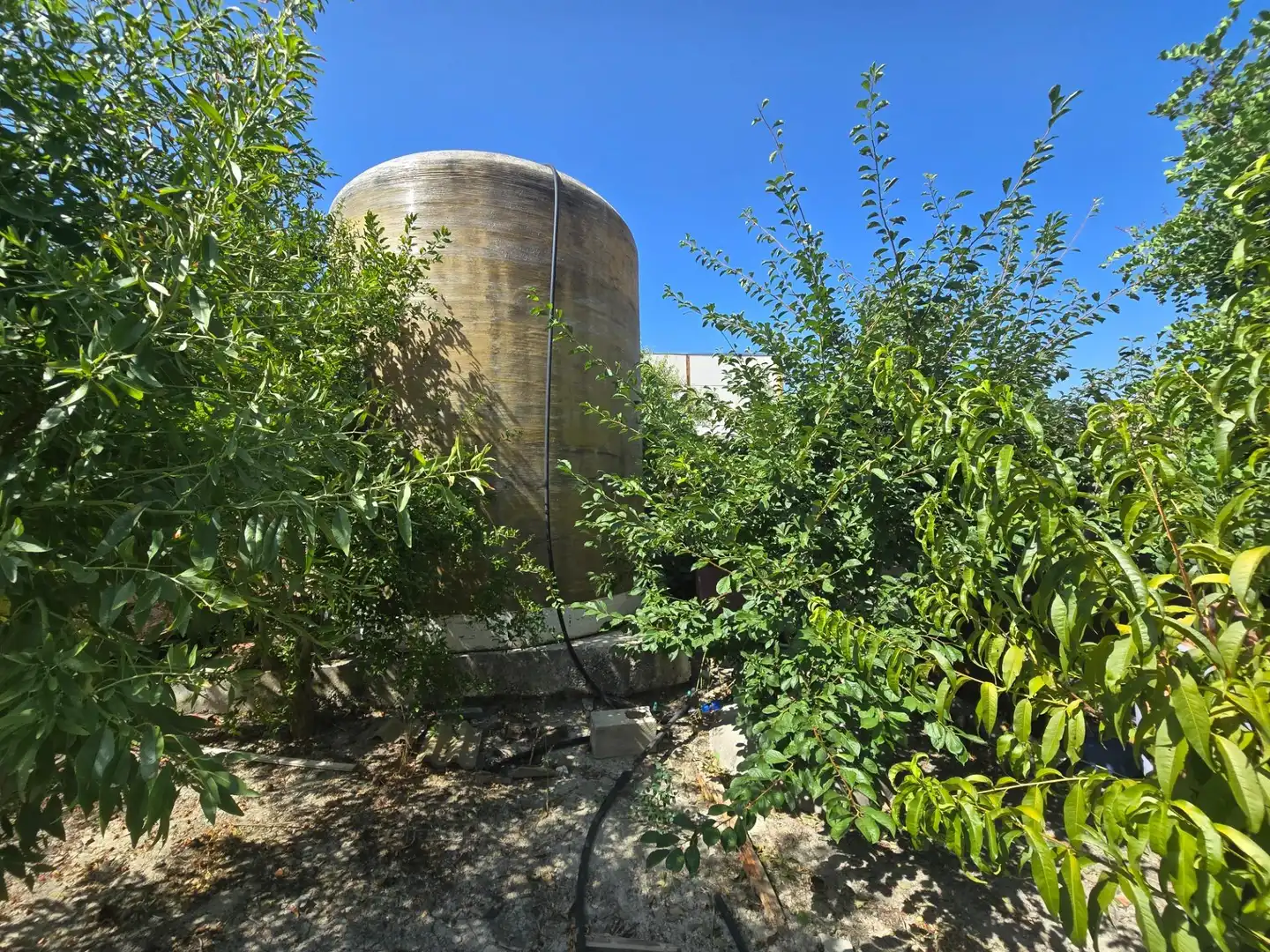 Jardín de Casa o chalet en venta en Aguilar de la Frontera con Aire acondicionado, Jardín privado y Trastero
