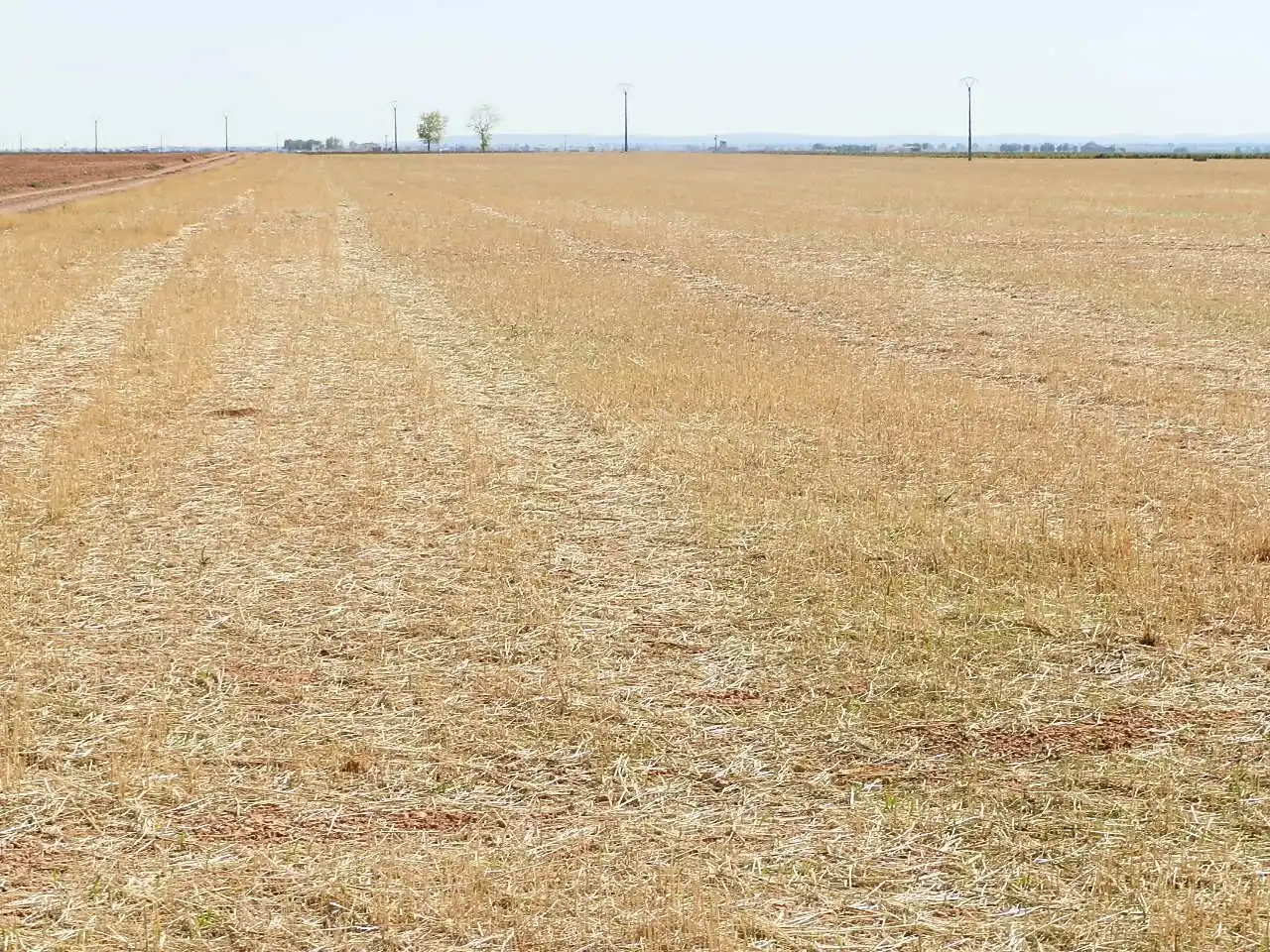 Rural land for sale in Valdepeñas