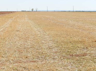 Rustikales Grundstück zum Verkauf in Valdepeñas