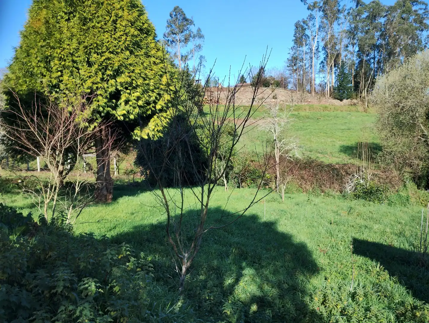 Maison avec jardin à vendre à Vilarmaior, imagen 10