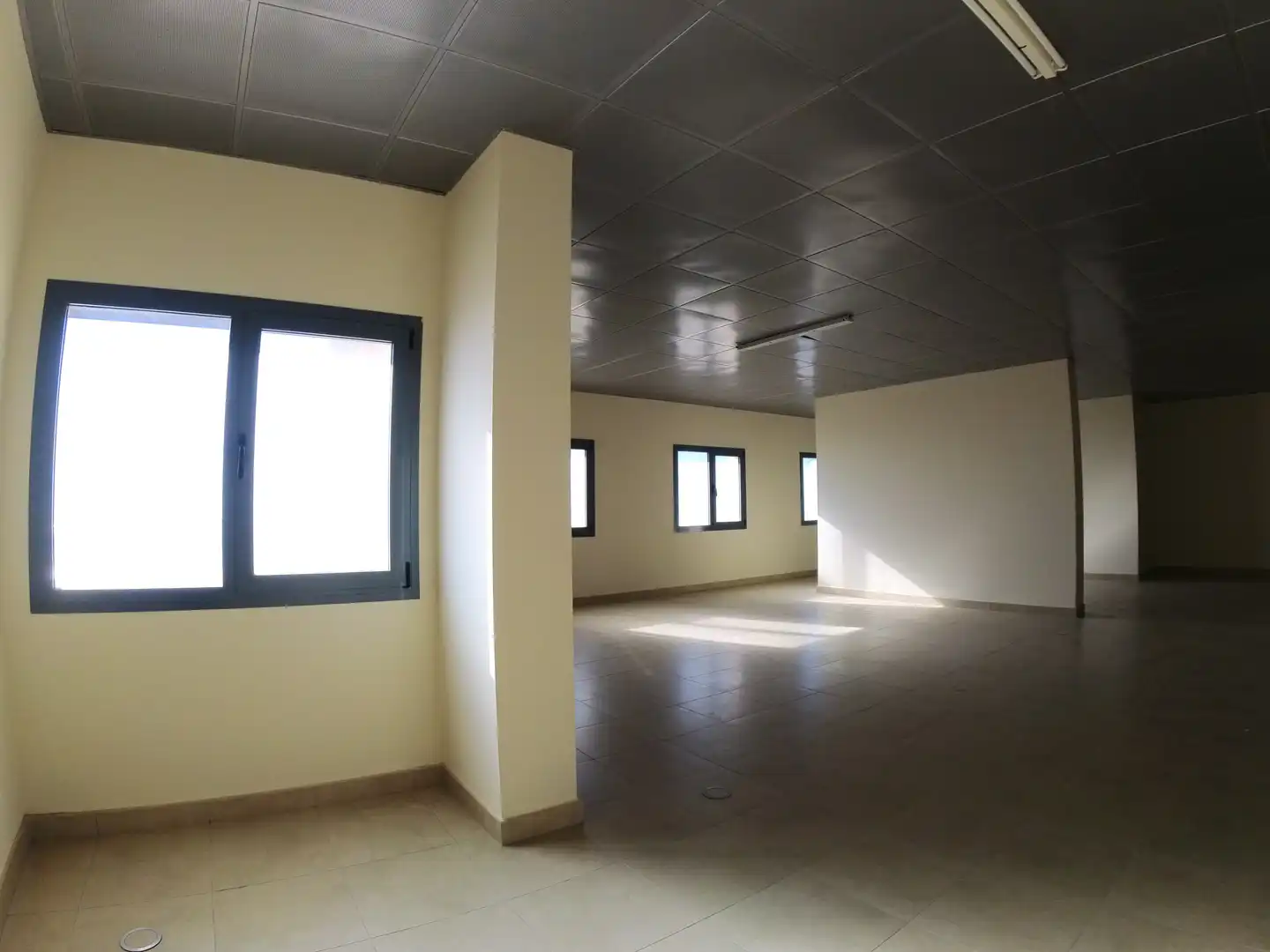Office space with lift for sale in El Ejido Ciudad, imagen 4
