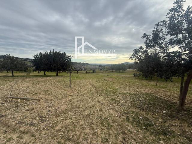 Terreno residencial en Venta en Selva