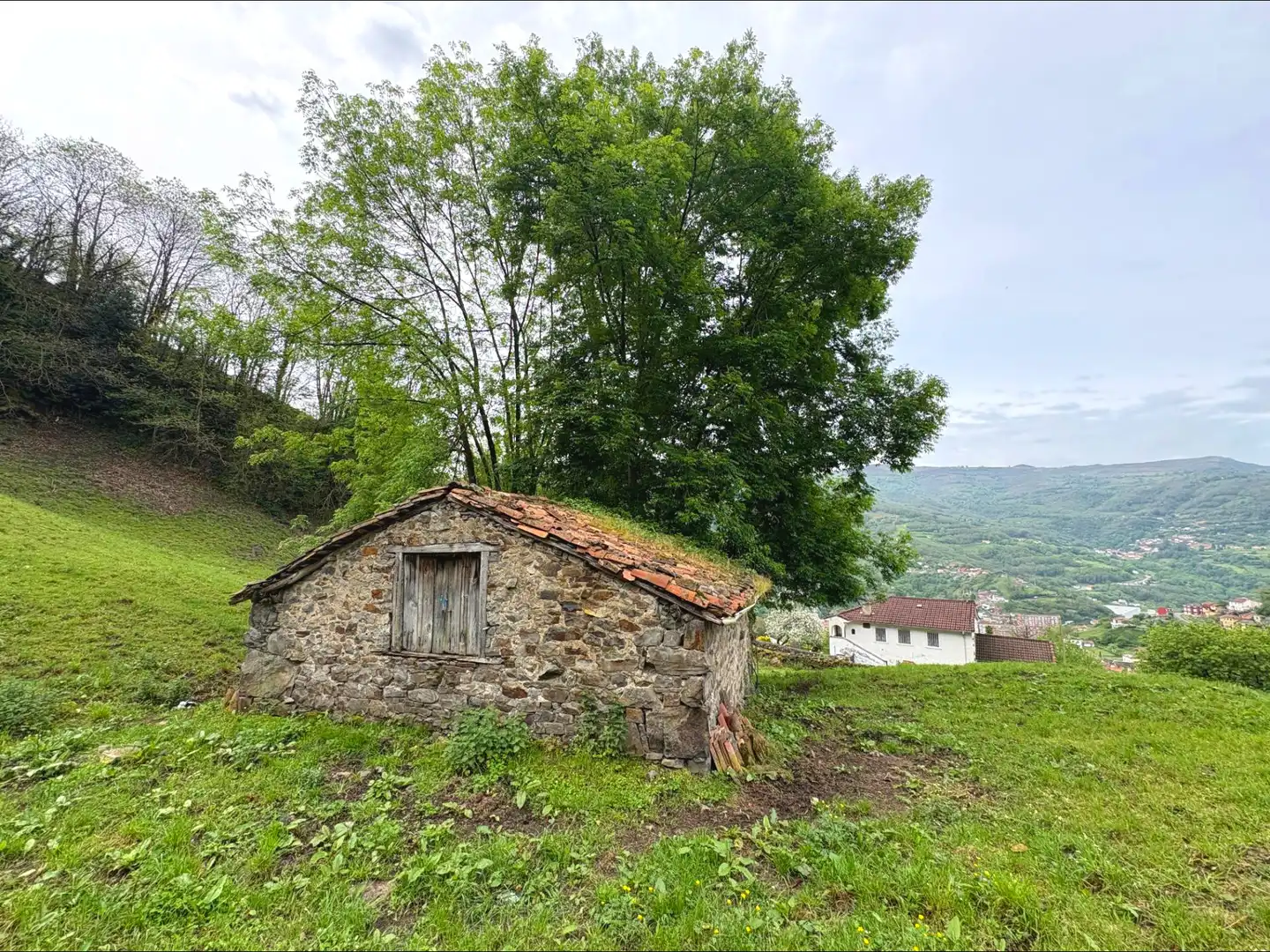 Casa o chalet en venta en Aller con Jardín privado