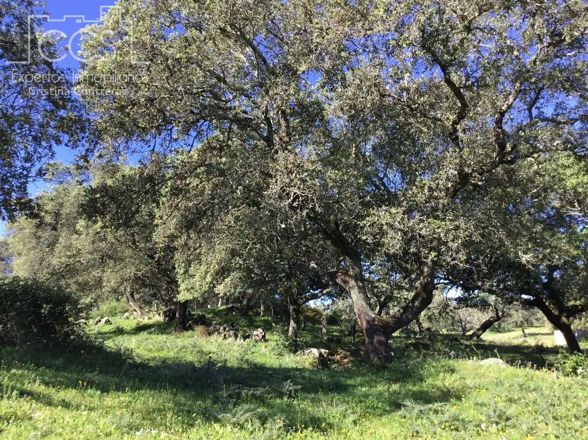 Finca rústica en venda en El Pedroso amb Traster, Piscina i Moblat