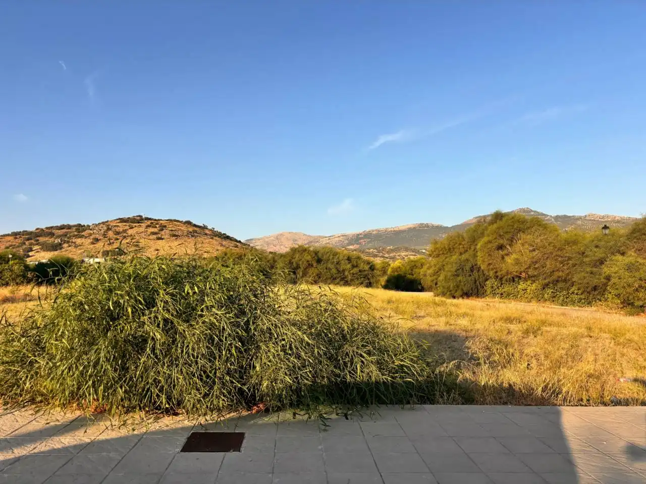 Terrain résidentiel à vendre à Cabra, imagen 5