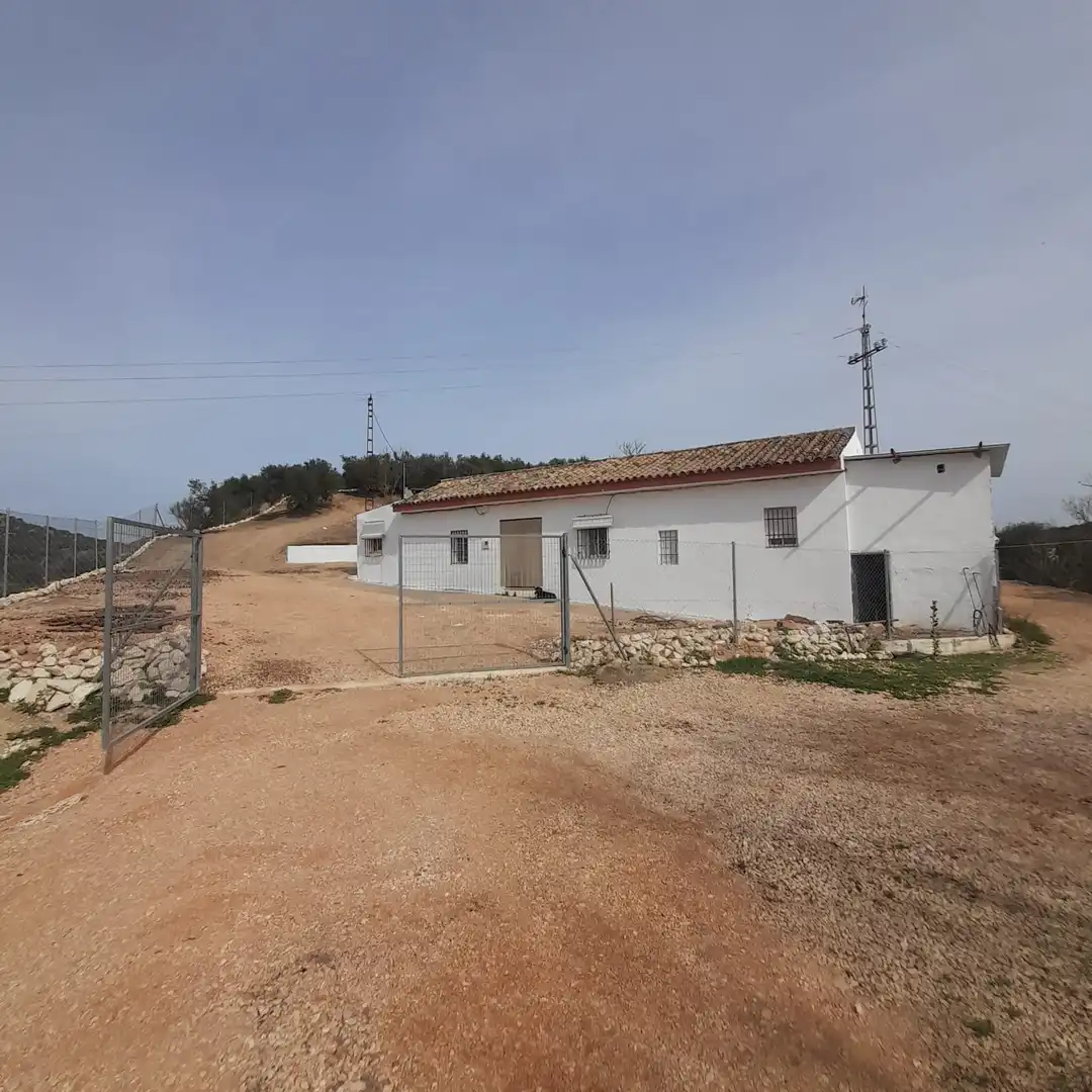 Vista exterior de Finca rústica en venda en Encinas Reales