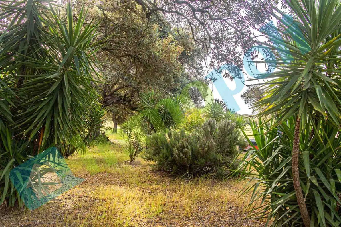 Garten von Haus oder Chalet zum Verkauf in Badajoz mit Klimaanlage und Abstellraum