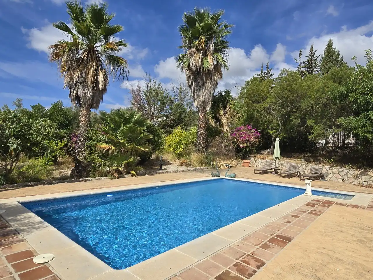 Maison avec piscine à vendre à Periana, imagen 45