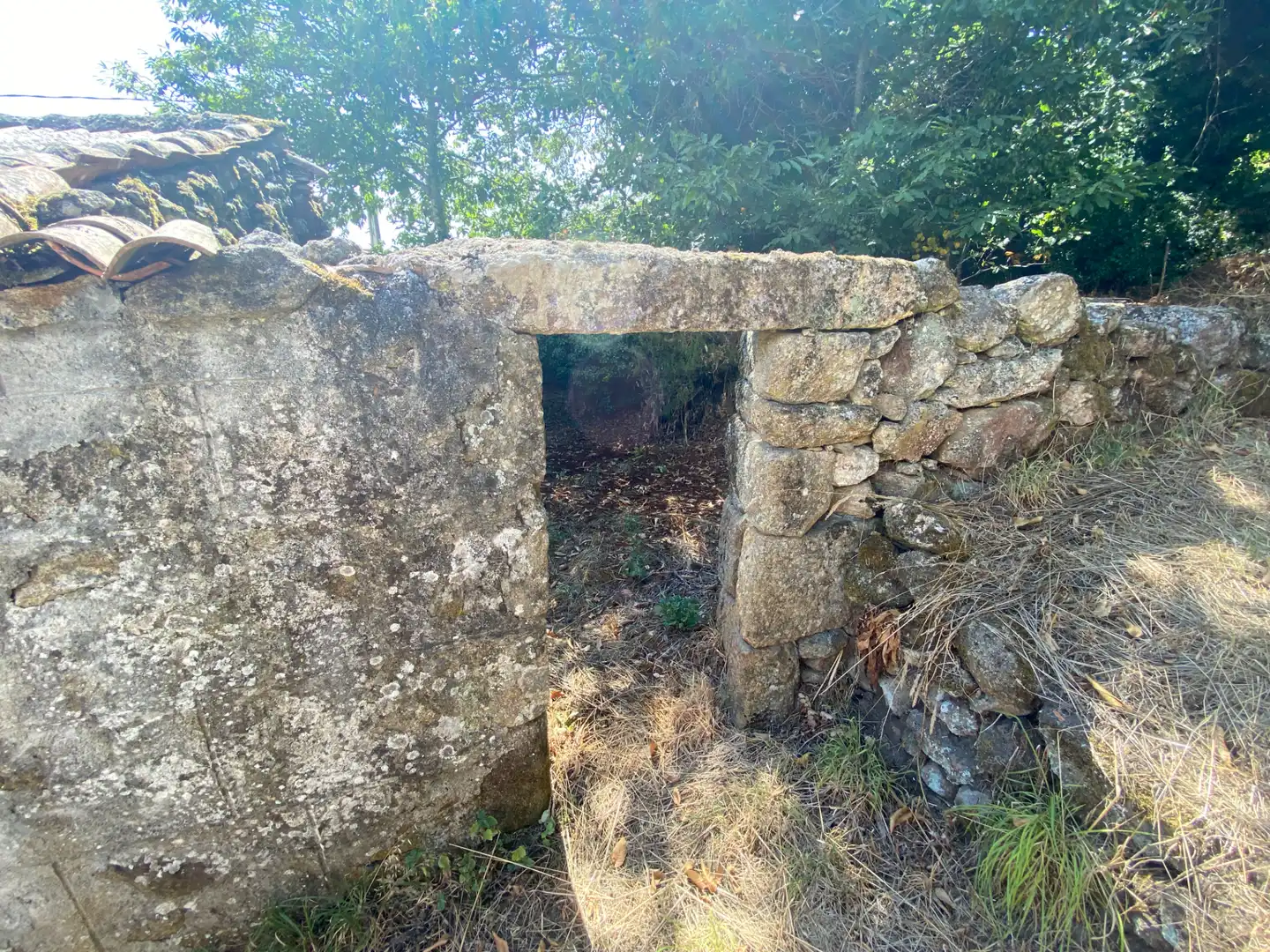 Finca rústica en venta en Bande con Jardín privado