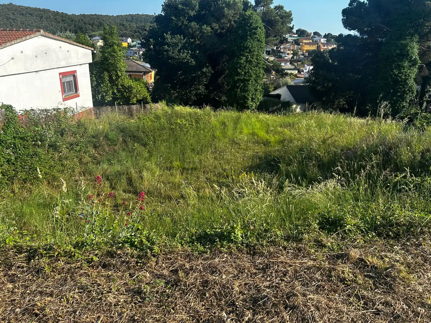 Wohnbaugrundstück zum Verkauf in Residencial Park, imagen 6