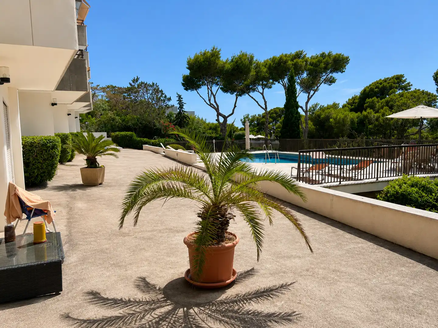 Swimming pool of Detached homes for rent in Calvià  with Air Conditioner, Terrace and Furnished