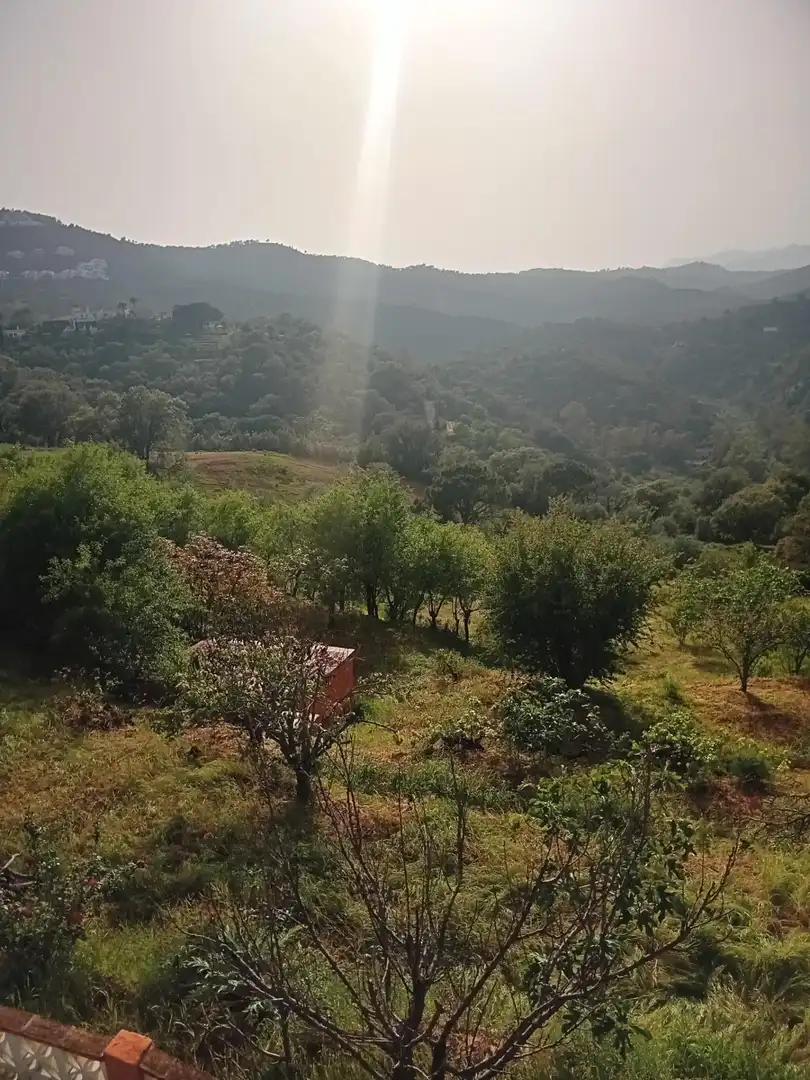 Casa o xalet en venda en Marbella amb Jardí privat, Terrassa i Traster