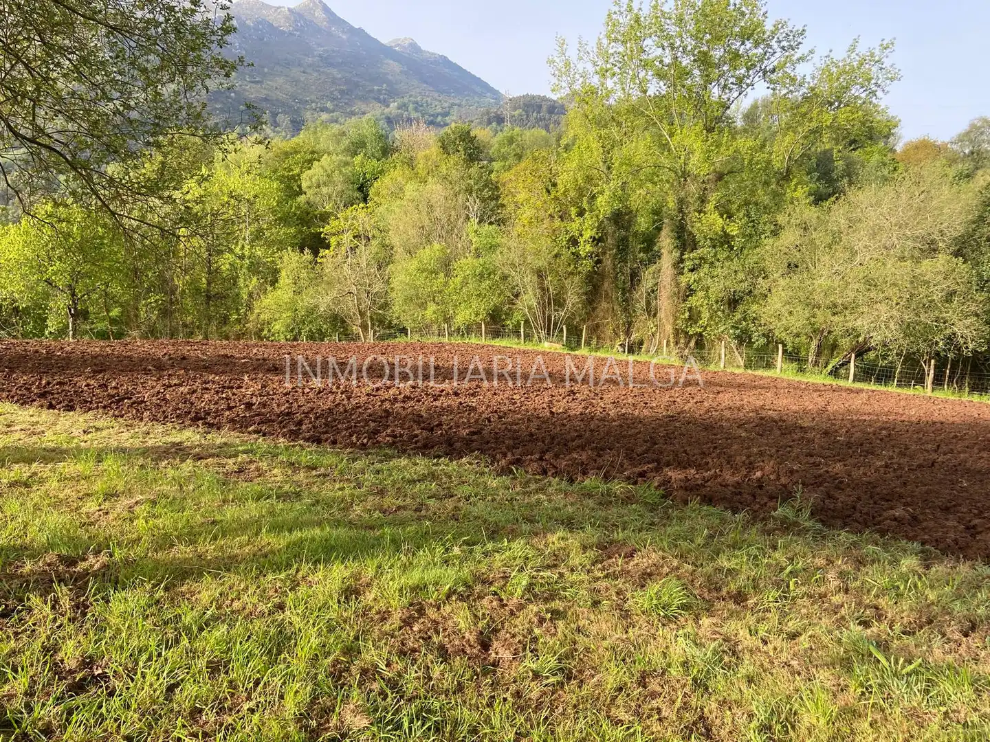 Casa o xalet en venda en Colunga amb Calefacció, Jardí privat i Parquet