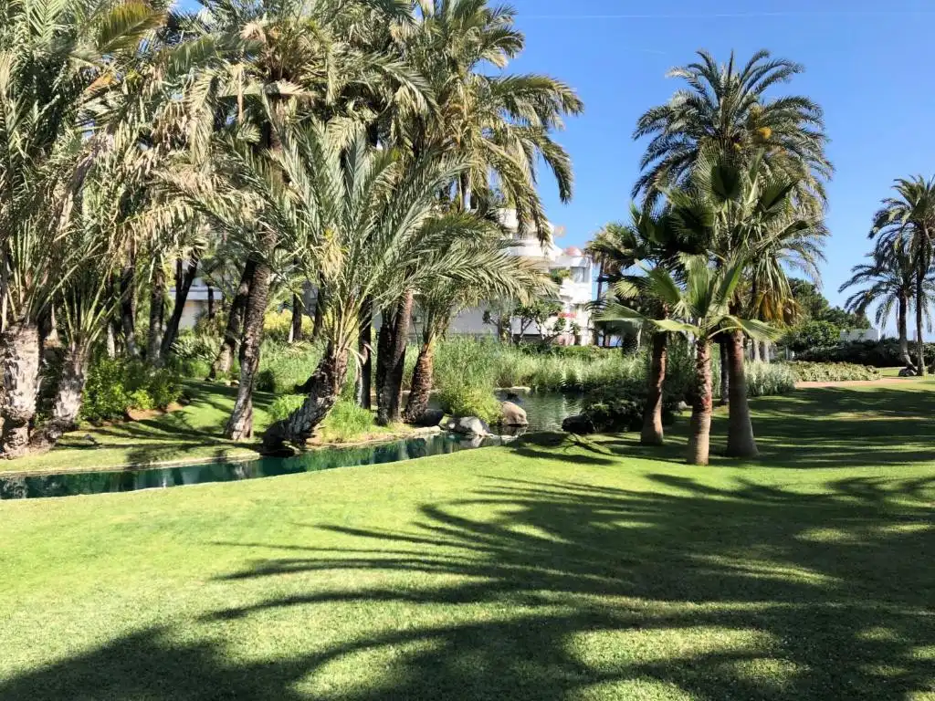 Apartament amb terrassa en venda a LOLA FLORES(NVA A MARINA), imagen 36