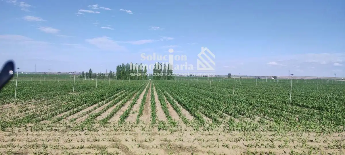 Rustikales Grundstück zum Verkauf in Huerta, imagen 5