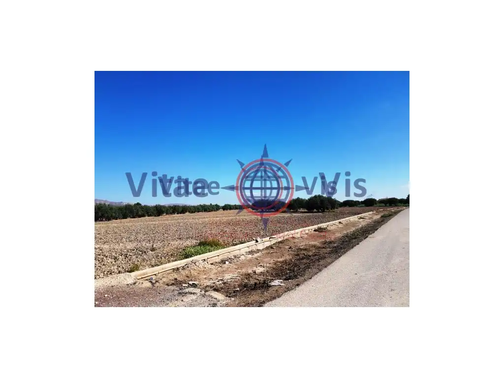 Terreny residencial en venda a Pedanías Centro, imagen 6