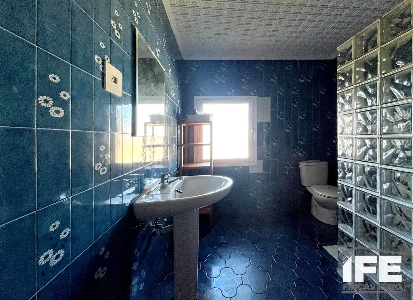 Bany de Casa o xalet en venda en Bárboles