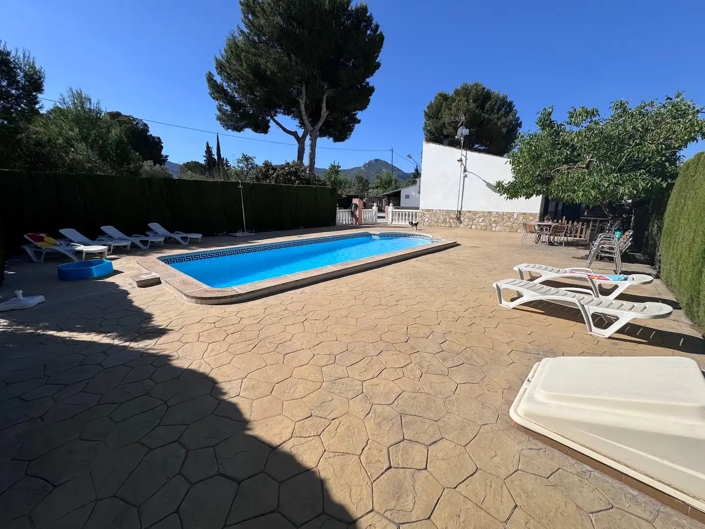 Piscina de Finca rústica en venta en Villena con Aire acondicionado, Calefacción y Jardín privado